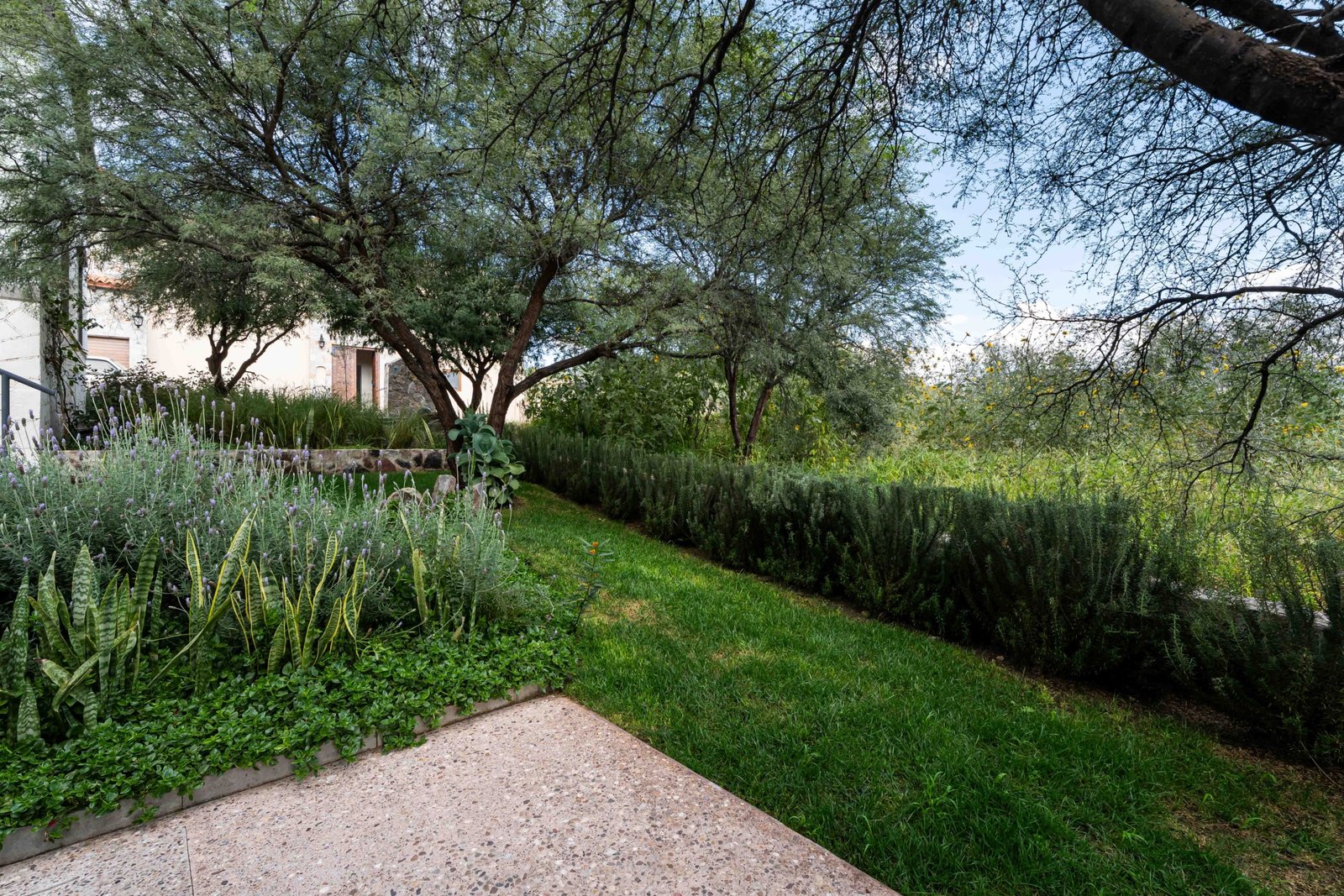 Hacienda Santa Margarita 24