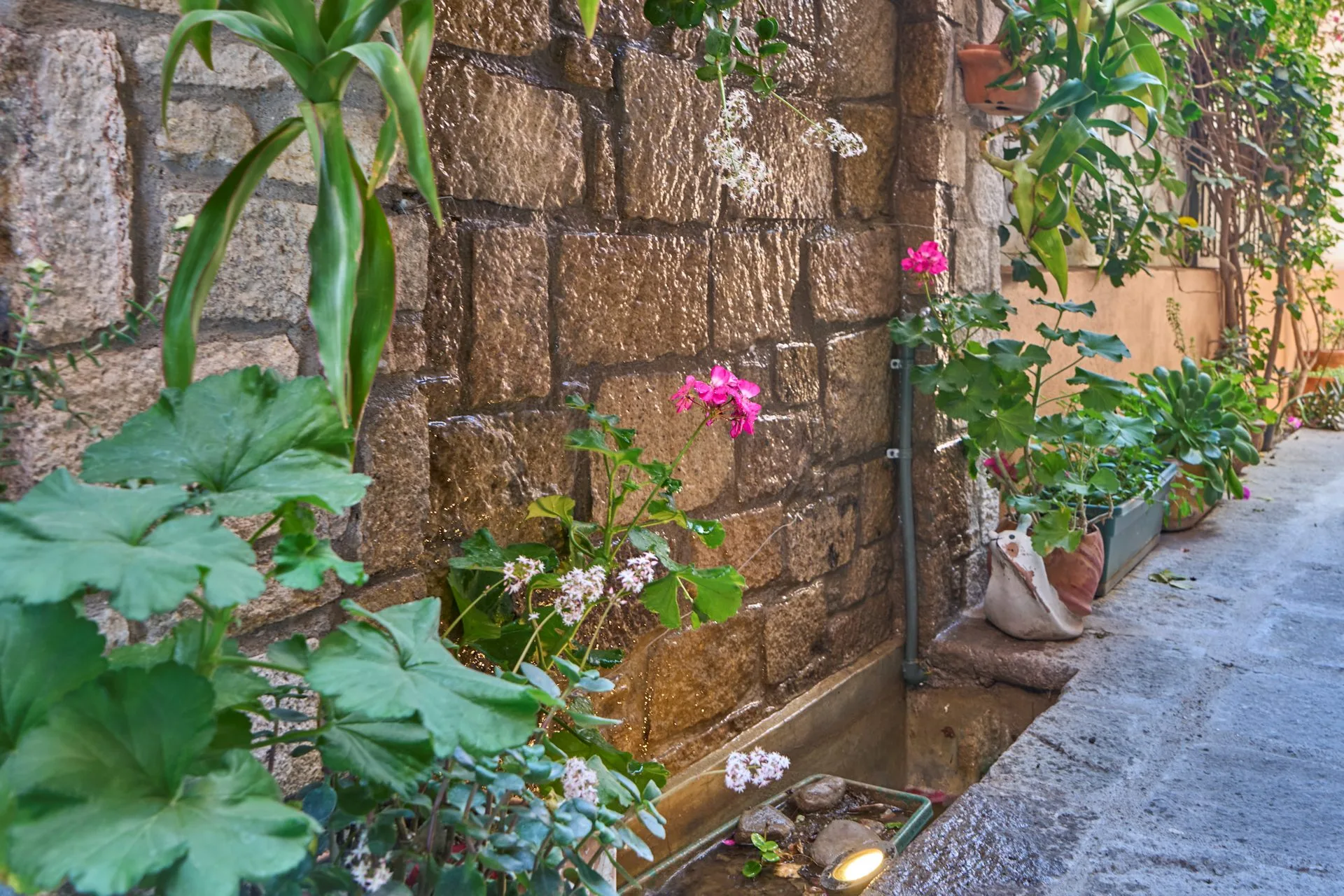 Casa Armonía